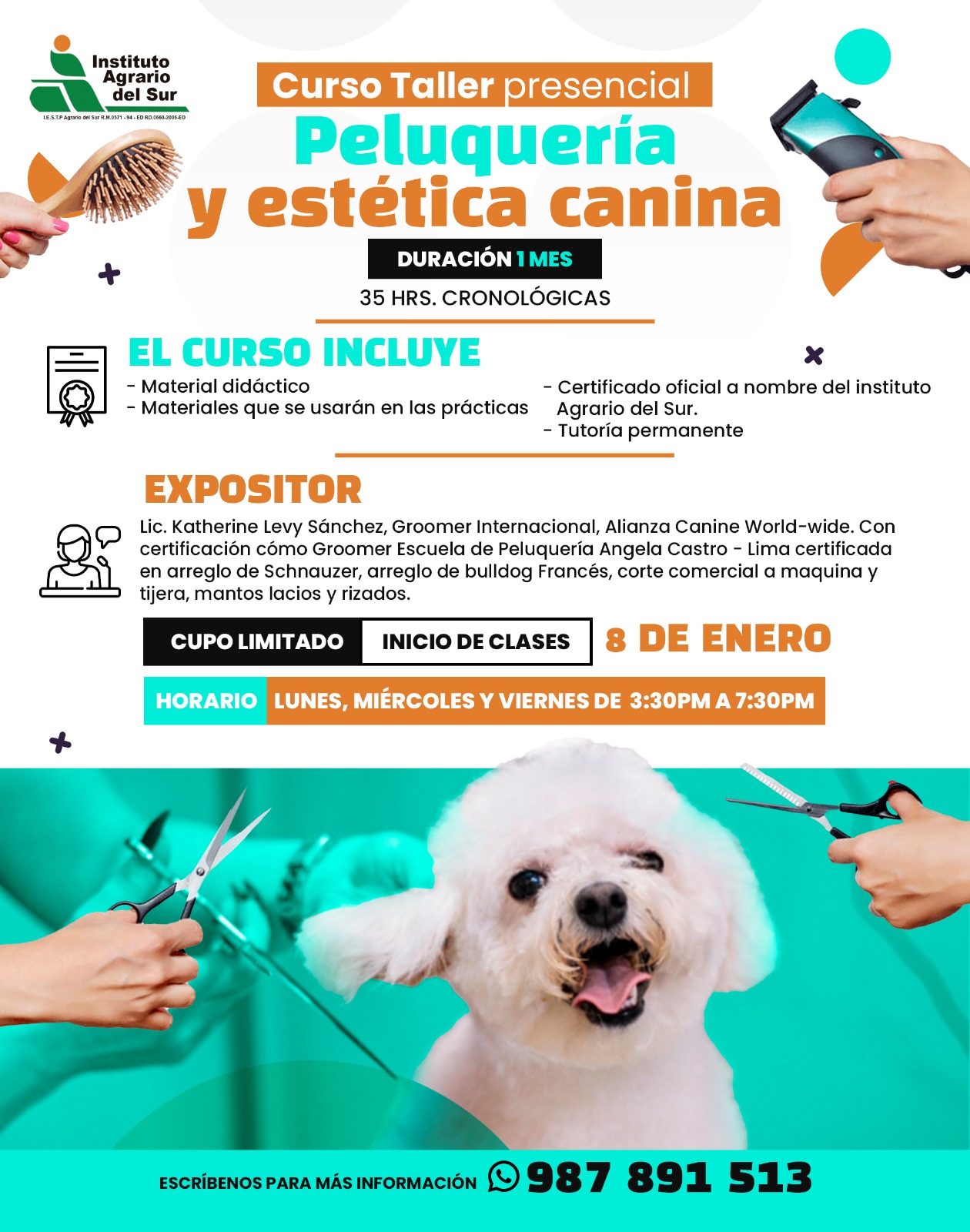 CURSO PRACTICO PELUQUERIA Y ESTETICA CANINA 100% PRESENCIAL